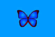 bkViewer v8.3d 中文绿色版｜小巧极速数码照片浏览器支持批量预览与EXIF查看