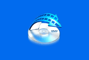 WonderFox DVD Video Converter v31.2 多语便携版下载：一键转换与备份DVD光盘为数字视频文件的工具