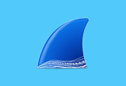 Wireshark中文版(网络抓包工具) v4.6.7 多语便携版