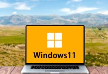 【不忘初心】Windows11 25H2 (26200.8973) X64 无更新[纯净精简版][2.82G](2026.7.31)